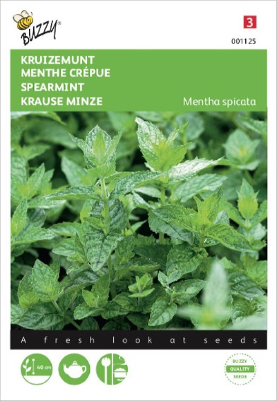 Kruizemunt (Mentha spicata) 1100 zaden BU